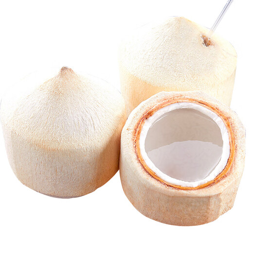 Xianyouji Hainan Wenchang Coconut Green Large Fruit Fresh Coconut Pregnant Women Coconut Picked Now Delivery Coconut Opener and Straw 6 pieces with coconut opener and straw (single fruit 900g+