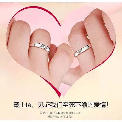 Grace Girlpt950 Platinum Couple's Rings, Proposal, Couple's Rings, Anniversary, Birthday, Heartfelt Gift for Girlfriend, Live Platinum Eternal Marriage Rings - Inlaid with Moissanite