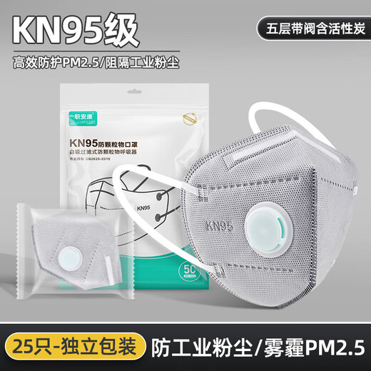 Job Mask Ankang Adult KN95Kn95 Válvula respiratoria Máscara a prueba de polvo Soldador de polvo industrial Oscilador de carbono activado H761V Carbono activado (Franja de esponja) Diadema KN95 Mask Grey 10 Pack