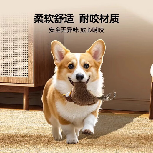 宠街坊狂嗨抖抖鸟电动猫咪玩具发声仿真小鸟狩猎玩具自嗨神器自动逗猫棒