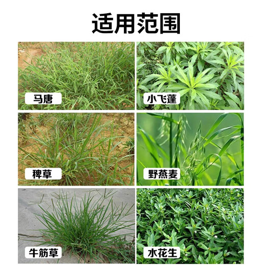 Kexin 10% refined glufosinate ammonium salt official herbicide fruit tree orchard garden herbicide rotten root Founder pesticide