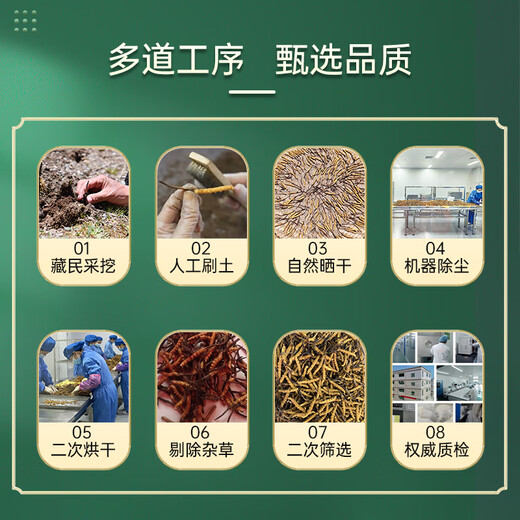 昭鹰之峰【野生】冬虫夏草 西藏那曲大号断草送父母送长辈 家庭滋补实惠装 中号断虫草 10克装【高性价比滋补】