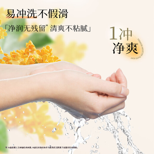 Lion King Qujing Foam Antibacterial Hand Sanitizer Bay Rose 400ml Refillable Micron Foam for the Whole Family and Children