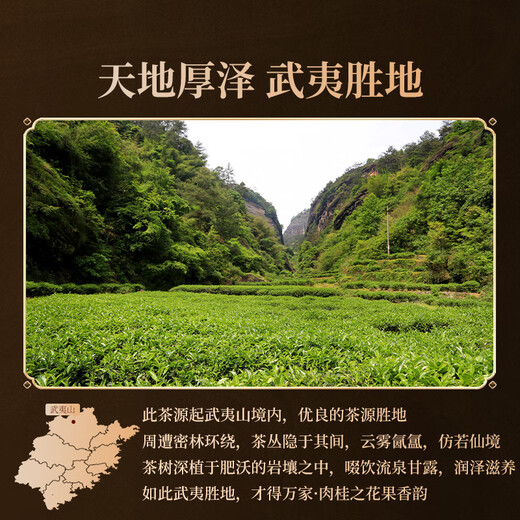 正山堂旗下岩语武夷岩茶 特级肉桂 茶叶礼盒万家系列乌龙茶送礼长辈礼品 99g*1盒