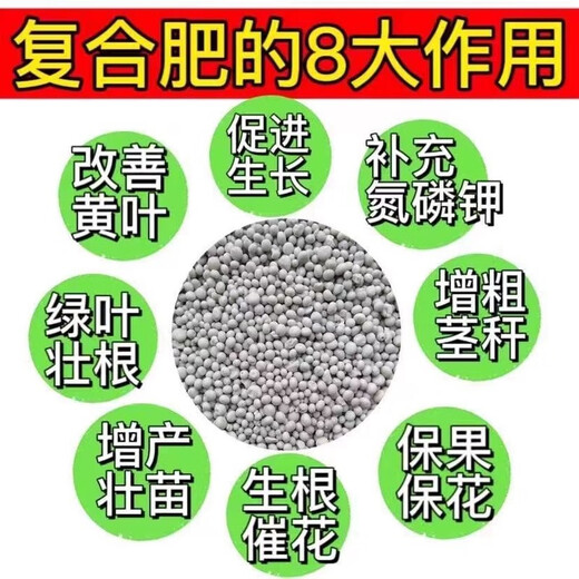 Stanley (STANLEY) Compound Fertilizer Granules General Purpose Potassium Sulfate for Fruit Trees, Flowers, Greenhouses, Vegetables and Home Potted Plants Factory Direct Sales Unpacked and Delivered General Purpose Potassium Sulfate Compound Fertilizer 1 Jin Jin is equal to 0.5 kg Stanley 15-15-15 General Potassium Sulfate Fertilizer