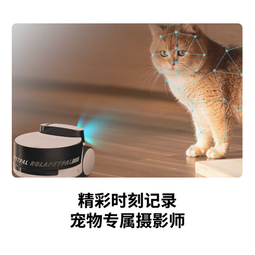 enabot宠物陪伴机器人手机app远程监控摄像全屋移动逗宠零食投喂ebo机器人 Rola PetPal全能套装