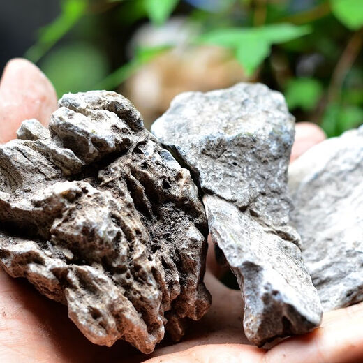 OIMG natural micro-landscape primary color blue dragon stone aquarium fish tank moss plant potted plant decoration grass tank tropical fish breeding turtle 10-12 cm blue dragon stone buy 5 pieces solid hair 10 pieces