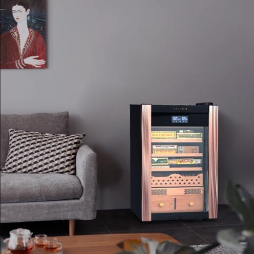 Double small cigar cabinet with constant temperature and humidity mini cigar cabinet freezer refrigerator refrigerator compressor cigar humidifier Cuban ecological cigar cabinet - V1