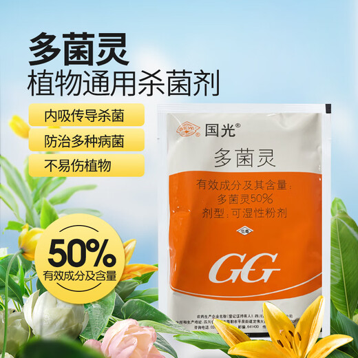 Guoguang 50% fungicida de carbendazim en polvo, bacterias especiales para el mildiú polvoriento de la mancha negra de la hoja amarilla, medicamento de uso común para las enfermedades de las flores de rosas suculentas