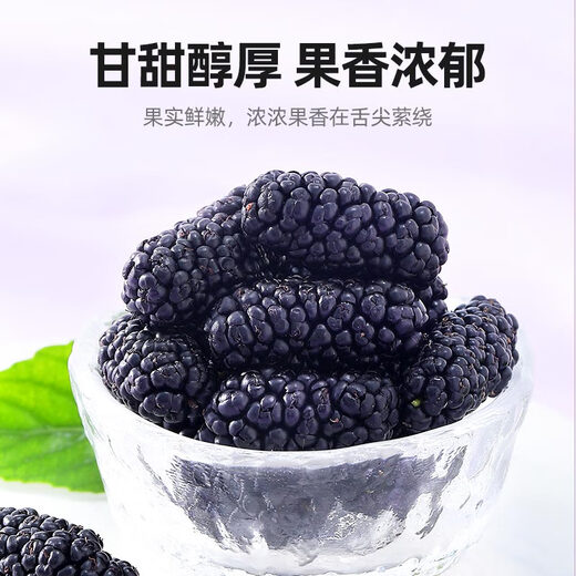 杞里香红枸杞子桑葚干组合500g宁夏头茬特级枸杞黑桑椹干即食桑葚子泡水