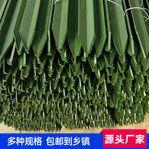 Lu'an Zongsen triangle solid column barbed wire fence column cast iron pointed column thickened rust-proof outdoor fence net iron column 1.8 meters high Y-shaped thickened (solid) 10 pieces