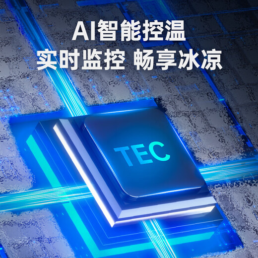 JGOZZ【自带电池丨可结冰】手机散热器半导体制冷AI智能控温磁吸背夹二合一户外直播电竞游戏降温神器 标准版【搭配一个可拆卸电池】