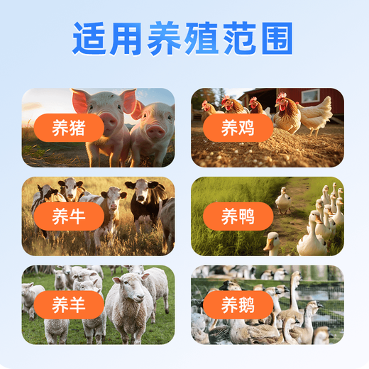 OIMG Sen A Australian D Daju fast fattening pig special early slaughter mixed feed premix day length 3Jin Jin is equal to 0.5 kg 20 bags get 5 bags *Jukuai * pigs / eat more and grow longer