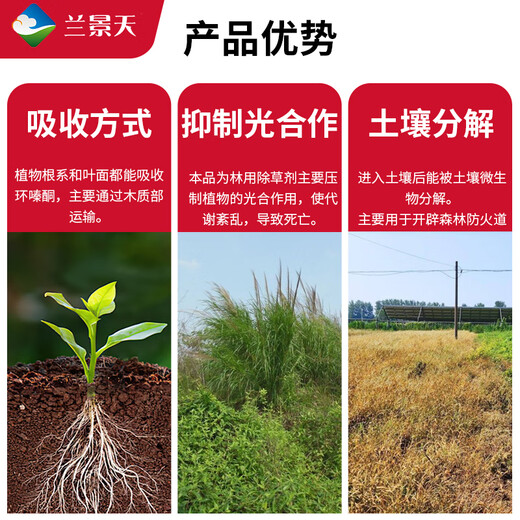 Orchidaceae cyclozinone herbicide, root rot agent, miscellaneous irrigation medicine, tree root rot removal agent, pesticide cyclozinone 200g/bottle J0011