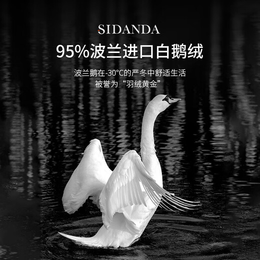 SIDANDA被波兰95白鹅绒锁锁温技术160支全棉鹅绒填充1048g 波兰绒专利冬被200*230cm
