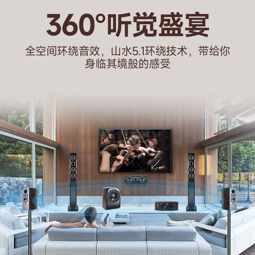 山水（SANSUI） F8 5.1无线家庭影院 木质家庭KTV音响套装 卡拉OK 落地式家居音响 5.1豪华版【高配功放10A】