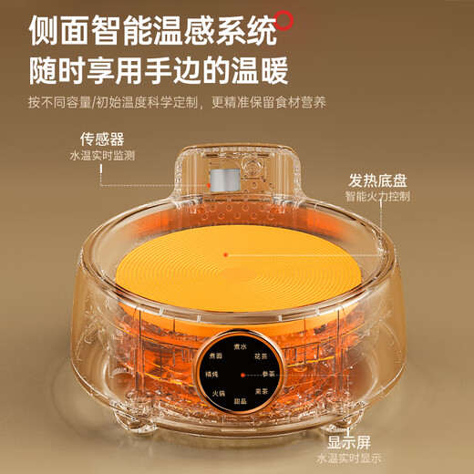 LOCK&LOCK all-glass health kettle electric kettle split boiling teapot small flower teapot constant temperature heating insulation mini teapot 1L stewing style - including tea leakage 1L