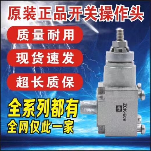 Schneider Electric Schneider Stroke Limit Switch XCKJ10543 10513H29C XCKJ10971 165H29C ZCK-E62C
