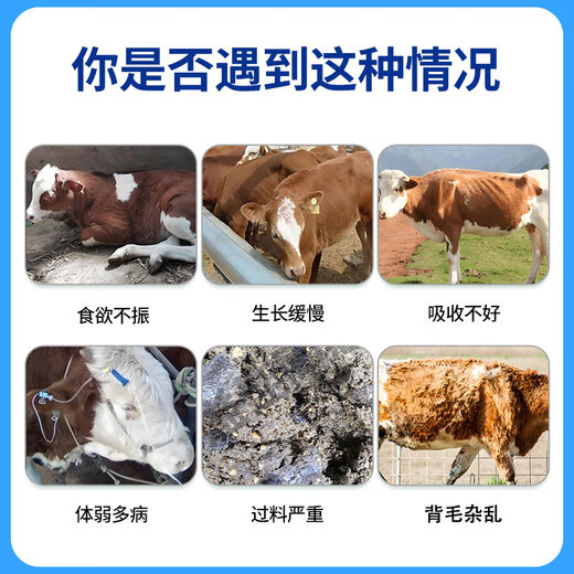 Yingmeier Yingmeier fattening cattle premix treasure weight gain king hormone drug concentrated fertilizer beef cattle feed wholesale fattening cattle premix 20kg*10 bags (buy 10 get 1 free)