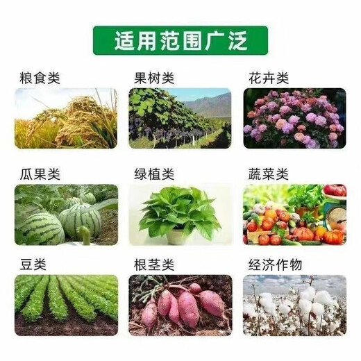 Xushansi agricultural potassium chloride Russian high-efficiency high-potassium flower instant fruit tree fertilizer vegetable universal red potassium fertilizer original package 50Jin Jin equals 0.5kg