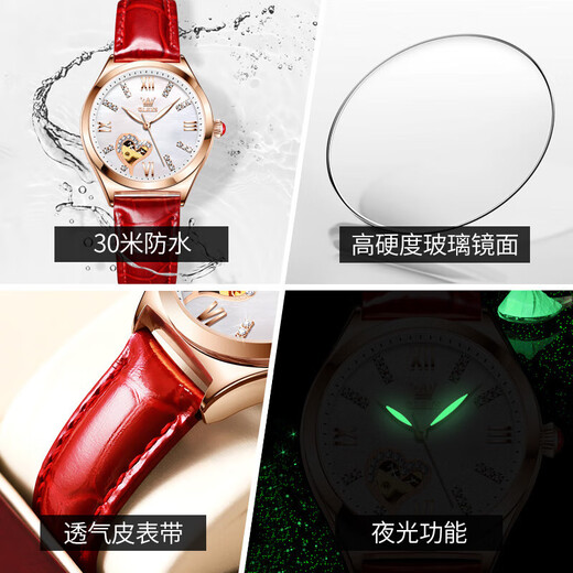 OLEVS Swiss certified brand watch women's fully automatic mechanical watch fashion temperament women's watch hollow women's watch gift OLEVS-6636-red skin white face
