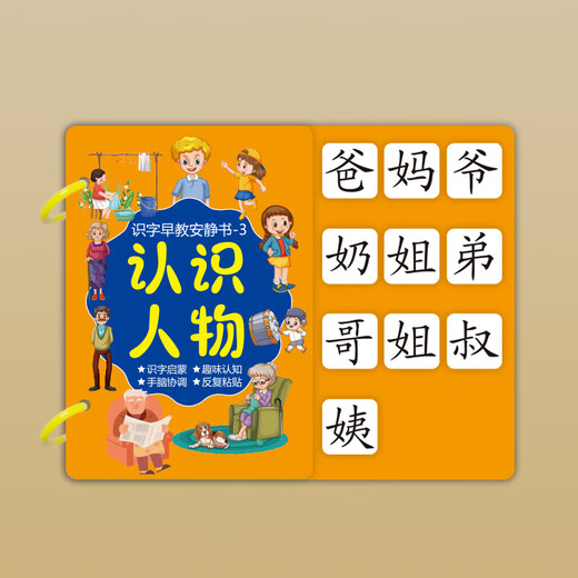 脘铼儿童识字早教3-6岁启蒙认字粘贴书游戏撕拉书幼儿早教玩具 8本一套