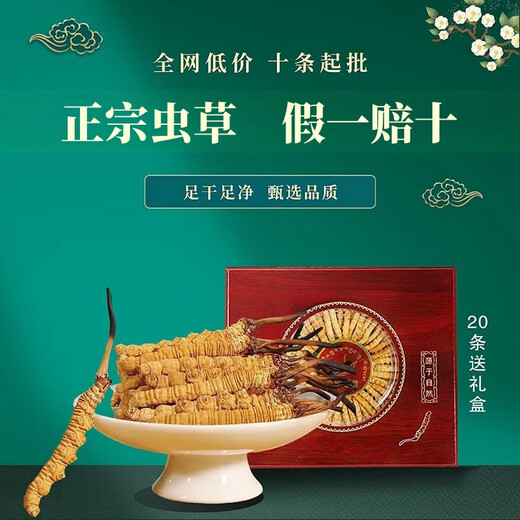 Auténtico cordyceps Cordyceps Cordyceps Cordyceps Caja de regalo Goods Dry Goods para novelas y productos secos para la salud para Nagqu, Tíbet 30 cajas de regalo (dos piezas por gramo)