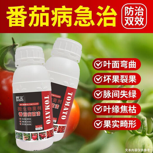 Tomato Disease Bacteria Clearing Microbial Bacteria Tomato Disease Botrytis Botrytis Anthrax Fungicide Non-Toxic Bacteria-Inhibiting Bacteria Best Selling Tomato Bacteria Clearing Tomato Bacteria Clearing 100g 1 Bottle