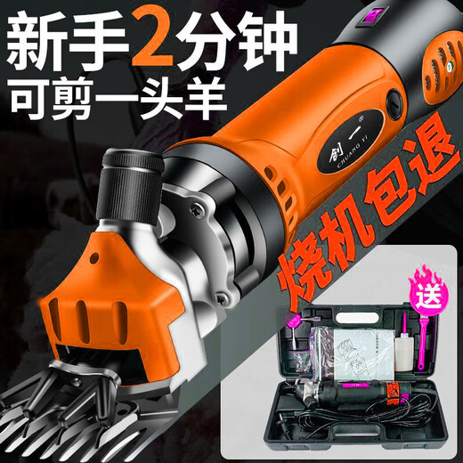 Chuangyi Electric Wool Ciscaillers Electric Ciseaux Raser la laine FADER ELECTRIQUE Large Ciscons cisaillement 3880AW + 9 SPILT BLADE X2