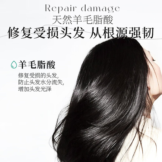 
Kao (KAO) wakes up without being messy Essential shampoo oil-controlled for a long time fluffy air-free silicone oil-free soft shampoo
