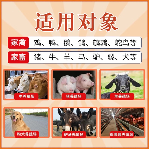 Veterinary gold electrolytic multi-dimensional vitamin supplement poultry, duck, goose, pig, cattle, sheep, cats and dogs general chicken feed additive trial pack (12.8 yuan/bag) 1 bag*500g