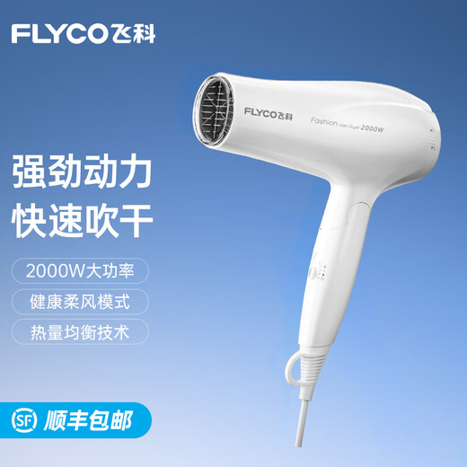 Flyco-Haartrockner tragbarer Heimwohnheimstudent Student Hochleistungshaartrockner kann schnell trocken und faltbar für eine Freundin [2000W hohe Leistung] FH6232 mit Air Collector sein