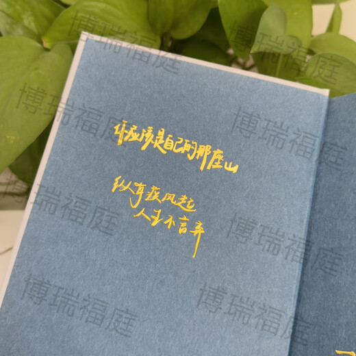 3d立体金属贴纸励志文字语录高考少年激励金句金属贴书桌书本手机 L690号-看世界也找自己  银色