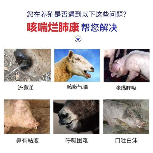 Mucan Veterinary Medicine for Severe Cough, Rotten Lungs, Pleuropneumonia, Pigs, Cattle, Sheep, Cough and Asthma, Porcine Pleural Pneumonia, Equine Cough and Asthma, Specially Available for Pregnant Animals, Cough and Asthma, Rotten Feikang Injection (1 set of 3 boxes) A+B+C