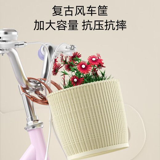 ZiRong Bicycle Children's Disney 3-6 Years Old Children's Bicycle Sanrio 4-8 Years Old Princess Model Children's Bicycle Disney Elsa/Back Seat 16 Inch Suitable for 100-120cm