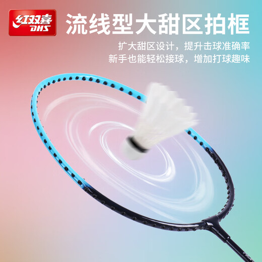 红双喜（DHS）羽毛球拍对拍套装训练比赛成人儿童学生防磨深凹槽羽拍P100 附3球