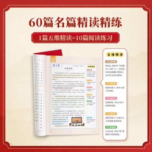 【抖音同款】初中阅读36技语文陈心678年级阅读精练技法赠送视频 9月份新版赠送视频 初中阅读技法大招手册【单本】