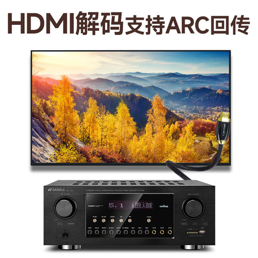 山水（SANSUI） F8 5.1无线家庭影院 木质家庭KTV音响套装 卡拉OK 落地式家居音响 5.1豪华版【高配功放10A】
