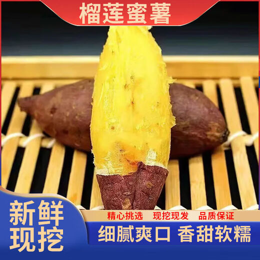 Jingxiansheng Authentic Shandong Durian Sweet Potato 3Jin Jin equals 0.5kg Single Fruit 100g+ Sweet Potato Sweet Potato Sweet Potato Vegetable Whole Grain Straight from the Source