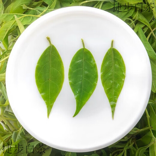 Yanhai Mid-Autumn Festival Kuding Xiaoye Authentic Sichuan Kuding Xiaoye Qingshan Green Water Canned 2 large cans Kuding Xiaoye 300g (no impurities