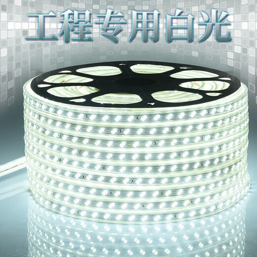 Fanyao outdoor waterproof light strip led super bright light strip 220v special engineering high voltage light strip for living room exterior wall 120 beads-white light-10 meters