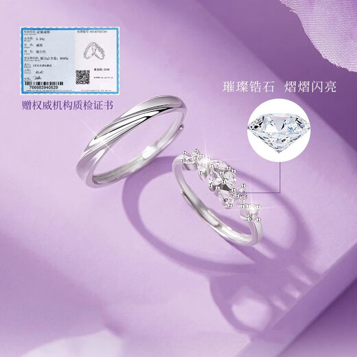 MZMZ Platinum Couple Ring PT950 Platinum Pair of Rings Couple Bracelet Valentine's Day Birthday Gift for Girlfriend and Wife Light Luxury Style-Couple Bracelet