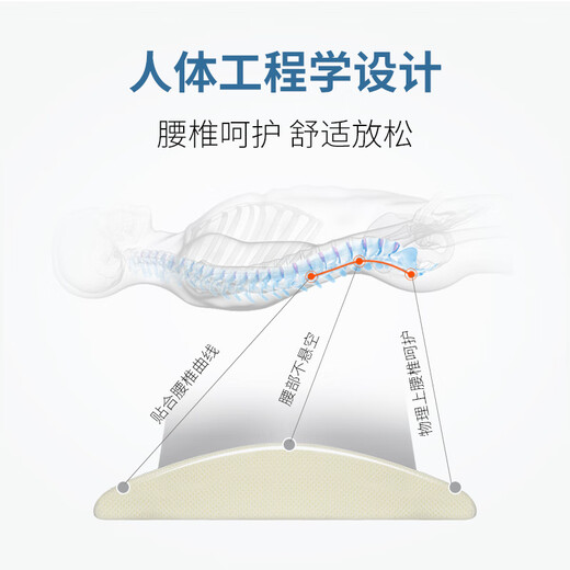 Palm Royal Medical Lumbar Pillow Bed Lumbar Disc Protection Herniated Sleep Lumbar Pillow Sleep Pad Lumbar Lumbar Pillow Lumbar Support Lumbar Cushion White