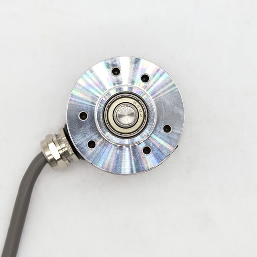 XMSJ RIP-Typ Rotary Code 4006-0031000-3524/12-2 003G-10 12-24C X ZSP4006