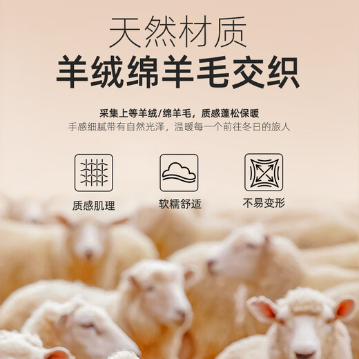雅戈尔（YOUNGOR）男装大衣男单排扣外套修身版商务大衣羊毛混纺羽绒内胆 VYSY015110FFY藏青 L 175/96A