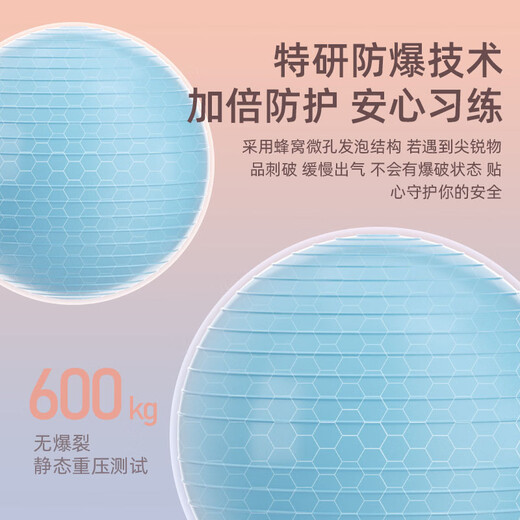 
Langwei Yoga Ball Fitness Ball Thickened Explosion-proof Adult Pregnant Midwifery Balanced Sports Anti-Slip Massage Ball Strong Elastic and Anti-Compression Hibiscus Purple [Thickened riot] 65cm (Height 160-165cm)