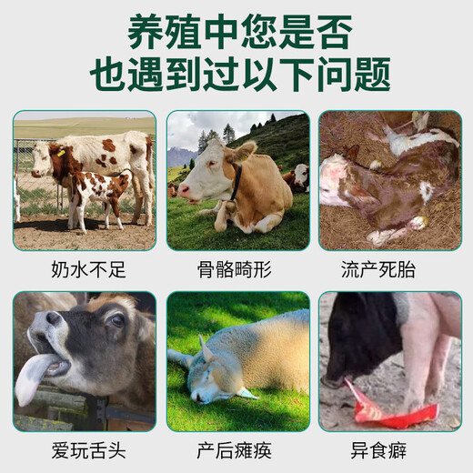 Cattle and sheep high calcium multi-dimensional veterinary feed chickens calcium supplement duck and goose high calcium shell powder feed additive for poultry and pigs Cattle and sheep high calcium multi-dimensional 2 bags/1kg