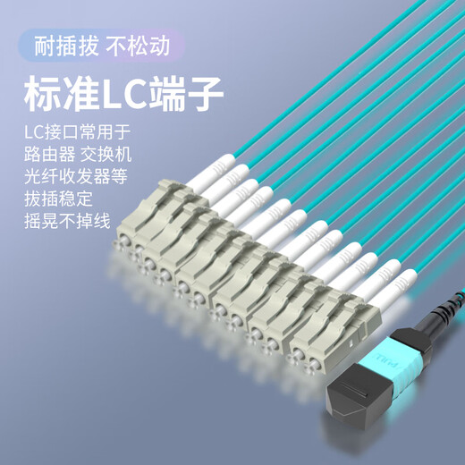 Ruichang Jiekang MPO-MPO Multimode Faser Jumper 8 Core 12 Core 24 Core OM3/Om4 Einminute vier Rechenzentrumstrahlfaser-Faser-MPO-LC 10 Gigabit Multimode Compatible MTP40G200G MPO-MPO 8 CORE [OM4] 200G Fiberes Jumper 1 Meter