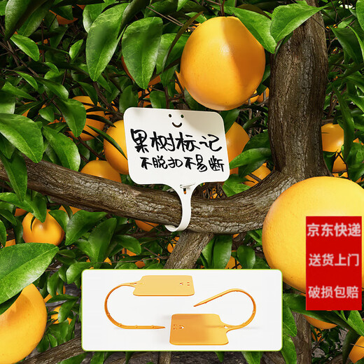 Shipton nursery flower pot plastic succulent label flower gardening ground brand potted plant name sign waterproof small plug card blue 10 pieces (15cm)