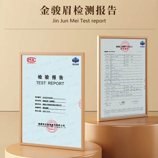 武夷智理特级红茶金骏眉 2024年新茶浓香型茶叶 武夷山养胃红茶 自己喝 【店长推荐】罐装500g 金骏眉